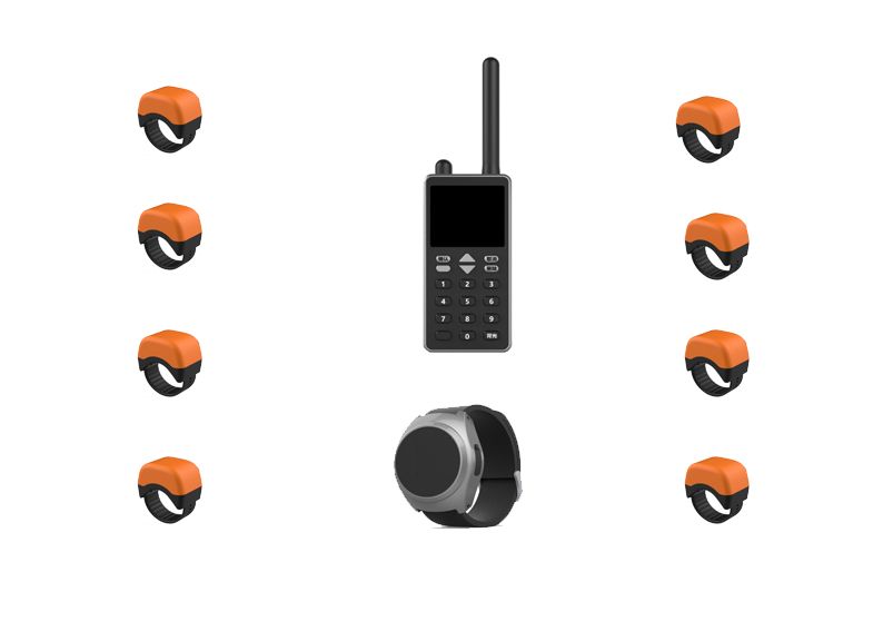  CSD-JK-DZ300智能監防終端（電擊腳扣）